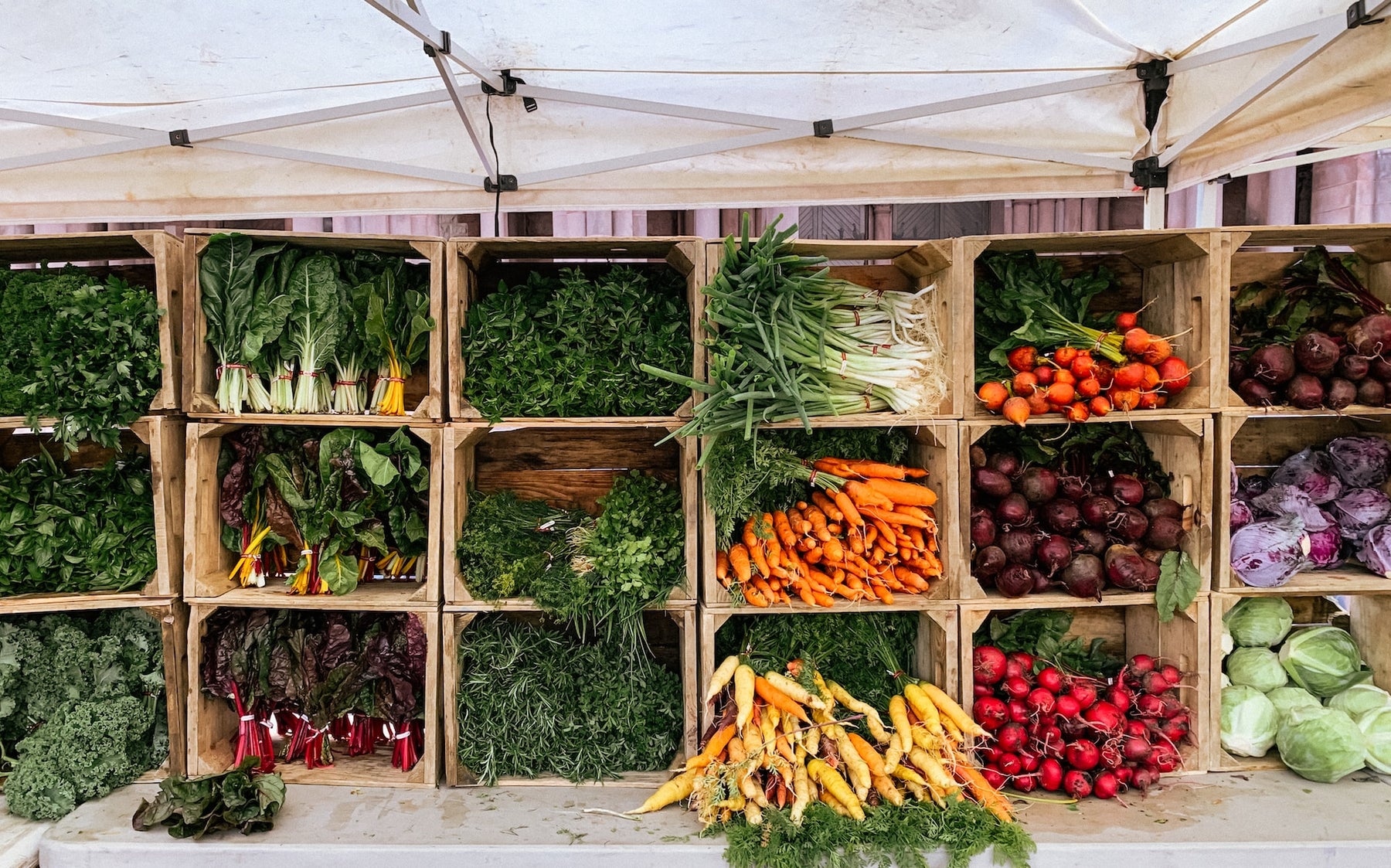 Native Superfoods