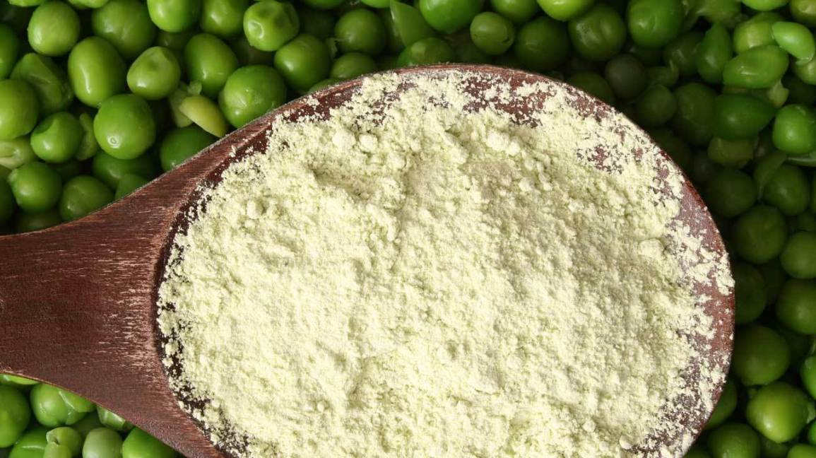 Wondering if Pea Protein is better than other Protein options or if it’s the right protein for you?