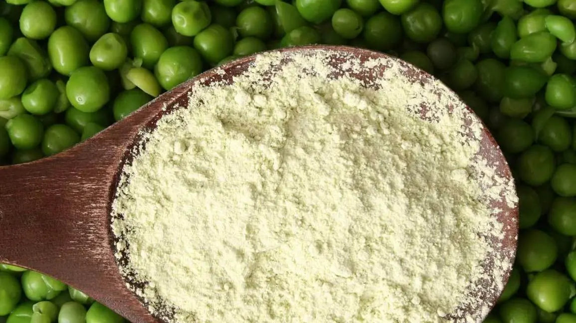 Wondering if Pea Protein is better than other Protein options or if it’s the right protein for you? Artisanal Australia