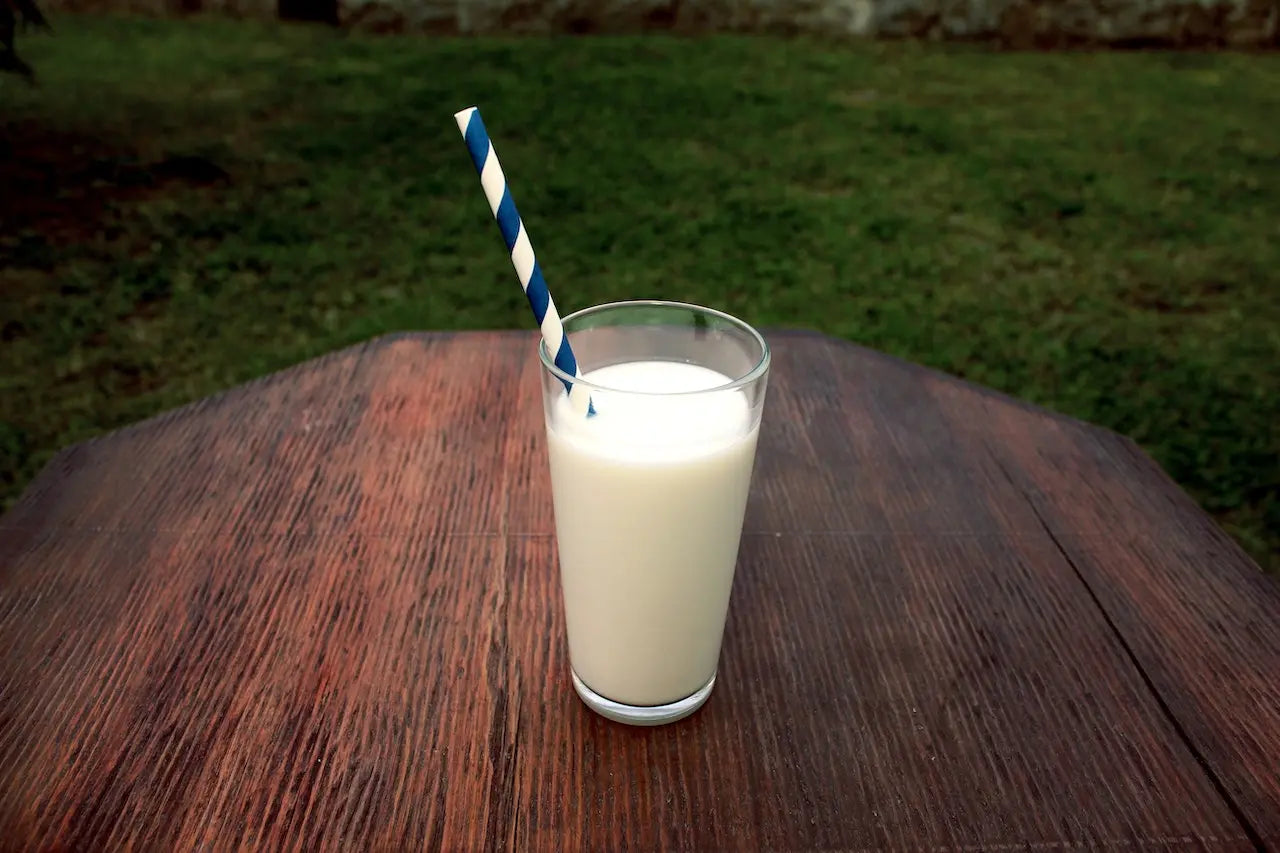 plant based milk