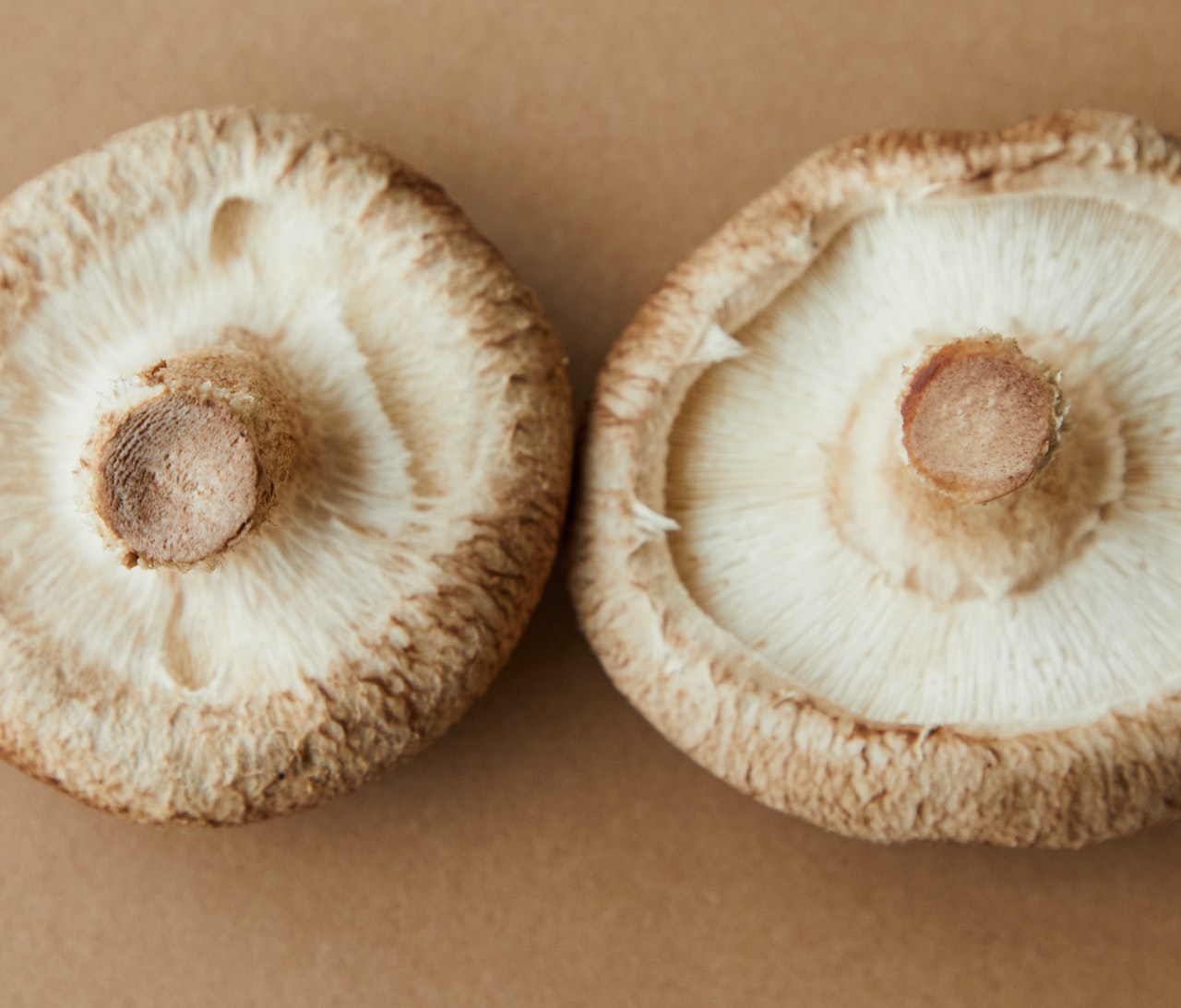 mushrooms