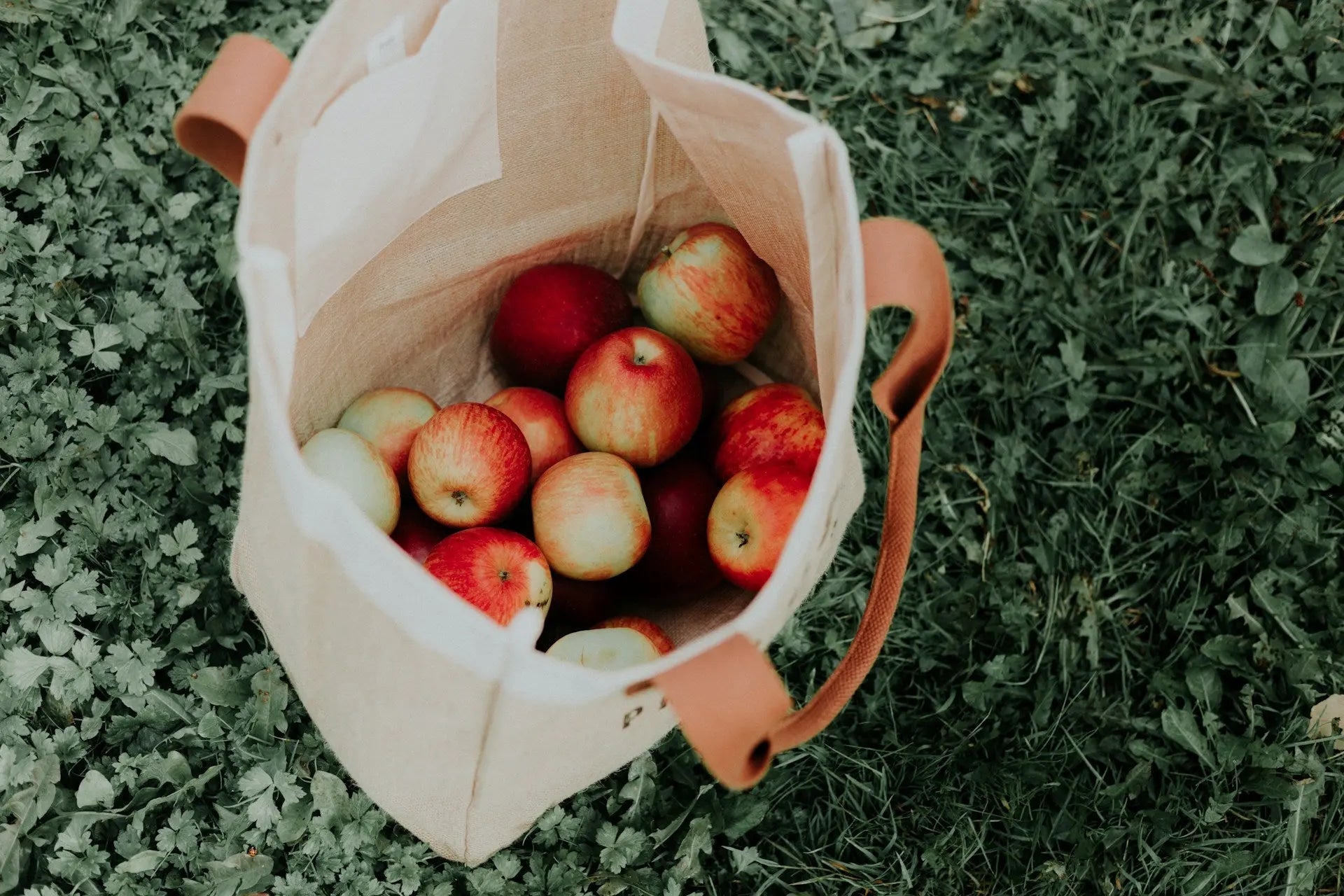 reusable bag