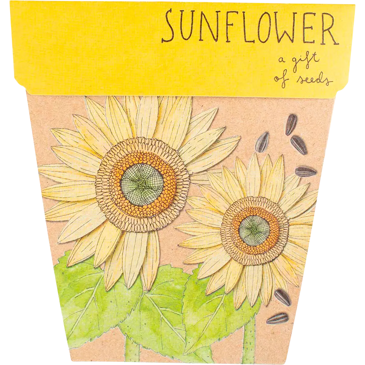 Sow 'n Sow Gift Of Seeds Sunflower