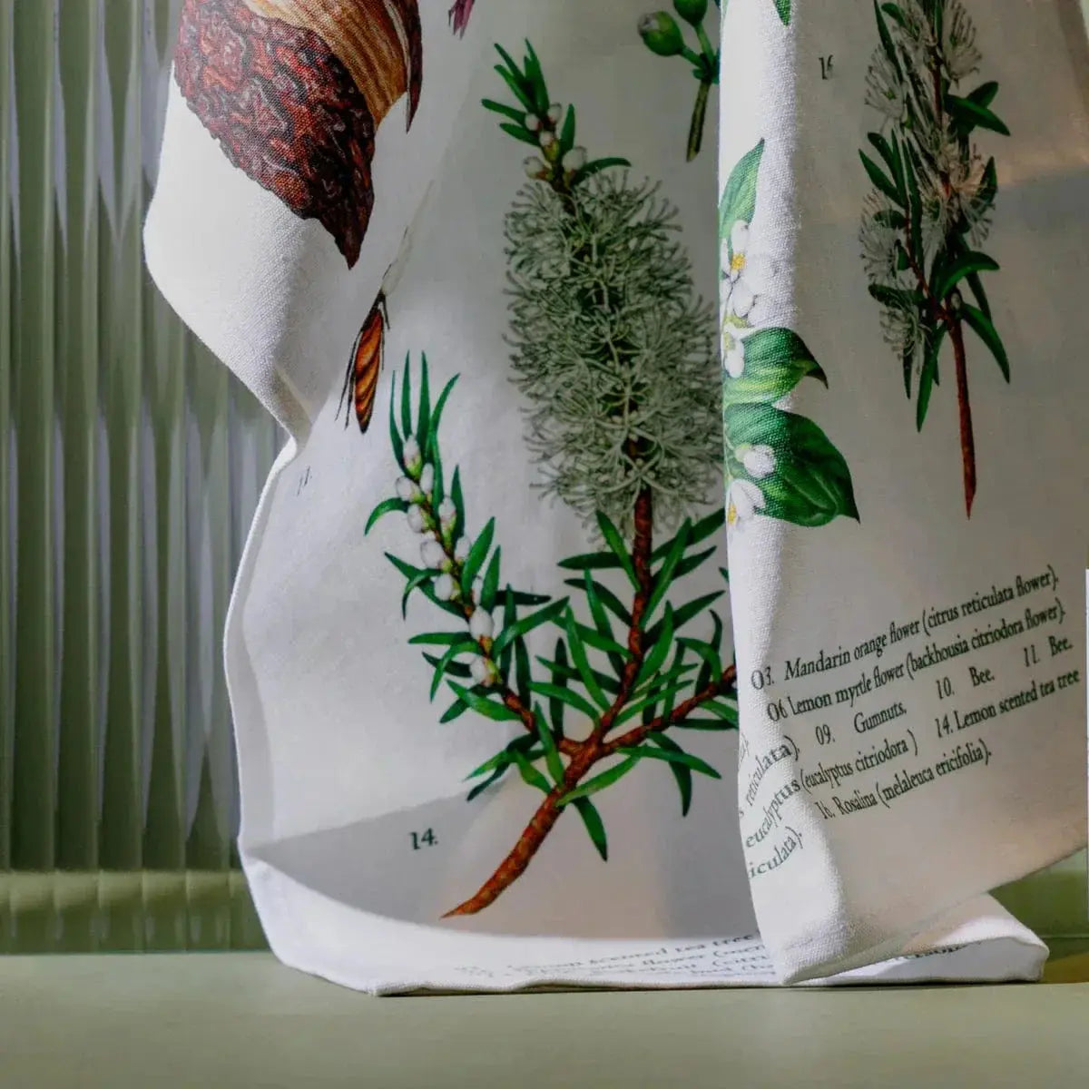General-Cleaning Artisanal Australia
