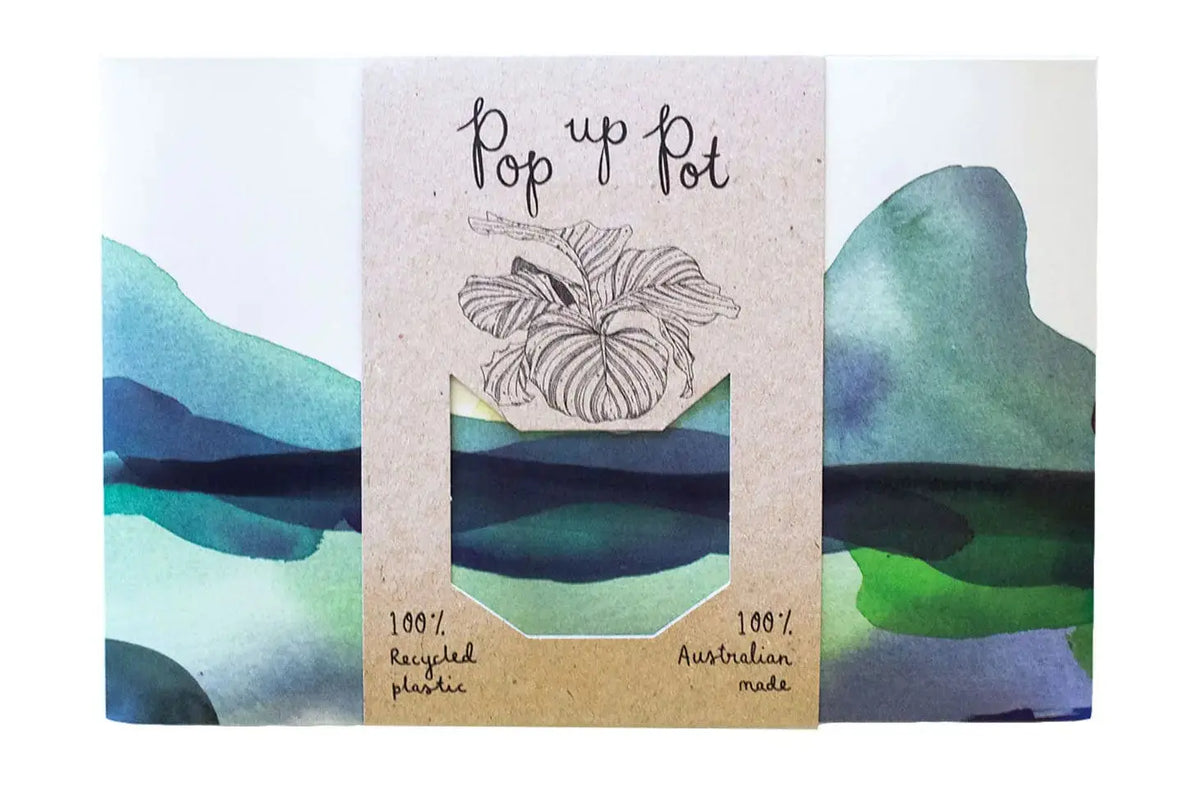 Sow 'n Sow Pop Up Pot
