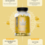Apollo Nutraceuticals Hemp Seed Oil Gummies official product image 5