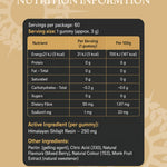 Apollo Nutraceuticals Shilajit Gummies official product image 4