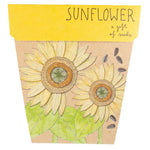Sow 'n Sow Gift Of Seeds Florals Sunflower
