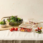 Ever Eco Glass Food Containers dining lifestyle image