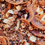 2DIE4 activated hazelnuts granola recipe lifestyle