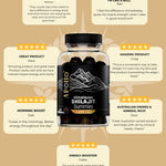 Apollo Nutraceuticals Shilajit Gummies official product image 5