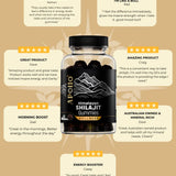 Apollo Nutraceuticals Shilajit Gummies official product image 5