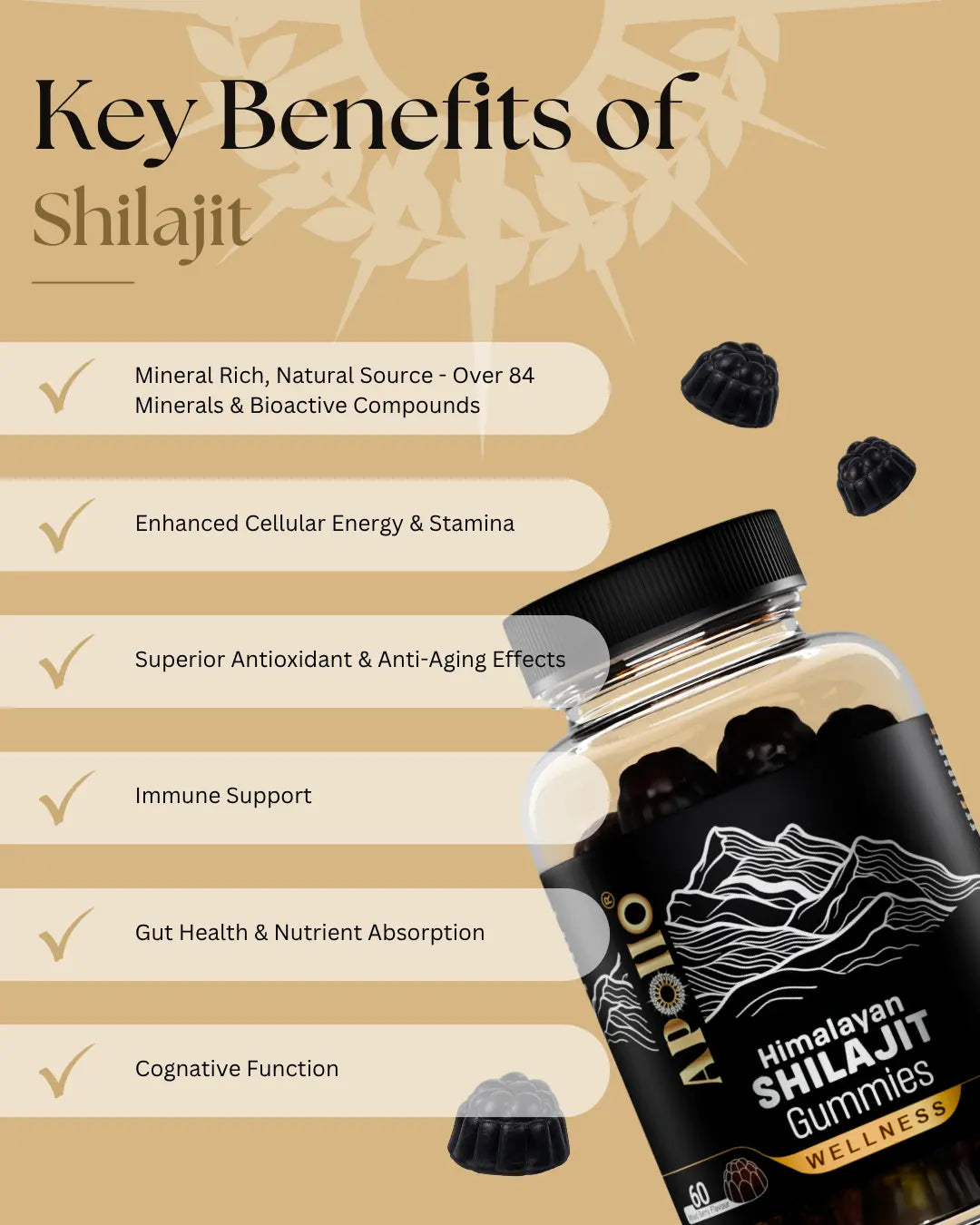 Apollo Nutraceuticals Shilajit Gummies official product image 2