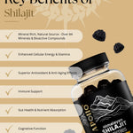 Apollo Nutraceuticals Shilajit Gummies official product image 2