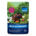 Power Super Foods Cooking & Baking Ingredients 180g Power Super Foods Wild Blueberry Powder Cert Org - Organic Trader product image