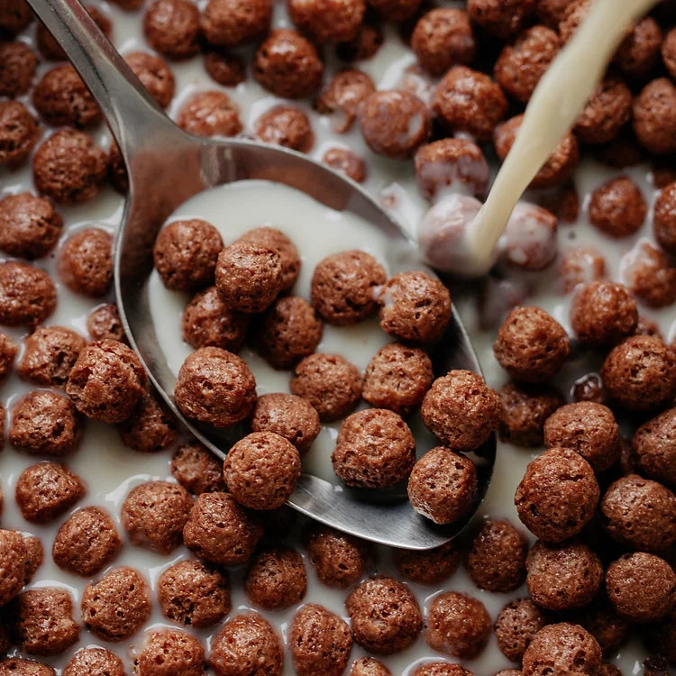 Turtle Cereal Organic Chocolate Balls 300g