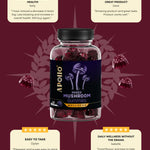 Apollo Nutraceuticals Mixed Mushroom Gummies official product image 5
