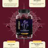 Apollo Nutraceuticals Mixed Mushroom Gummies official product image 5