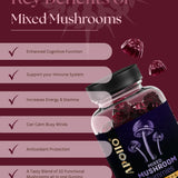 Apollo Nutraceuticals Mixed Mushroom Gummies official product image 2