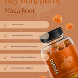 Apollo Nutraceuticals Maca Root Gummies official product image 2