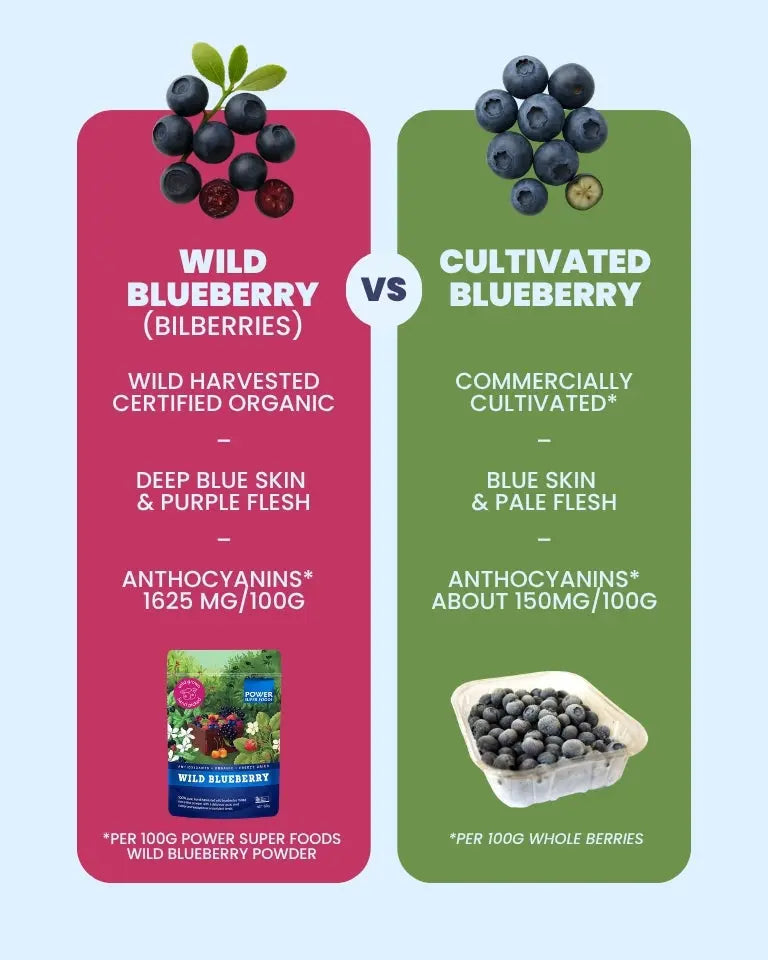 Power Super Foods Wild Blueberry Powder Cert Org