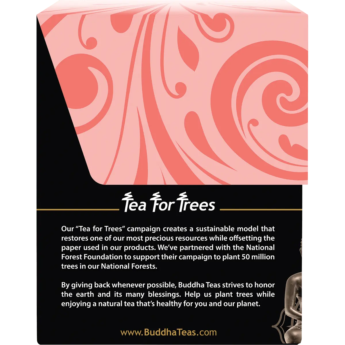 Buddha Teas Organic Herbal Detox Dharma Blend 18 Sachets — side pack image (UHP)