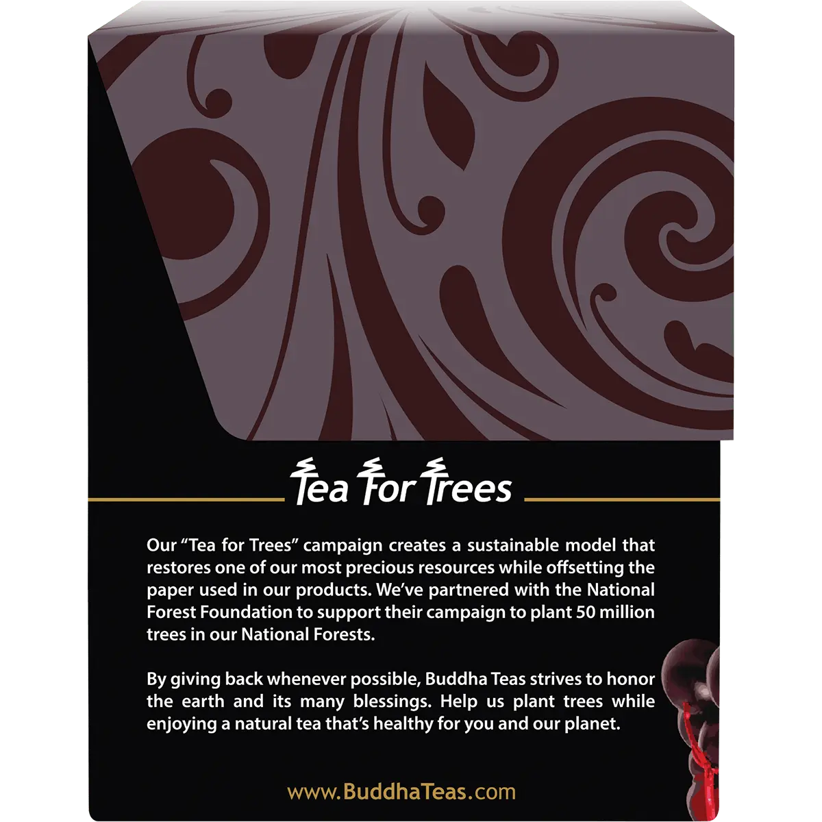 Buddha Teas Organic Herbal Elderberry Tea 18 Sachets — side pack image (UHP)