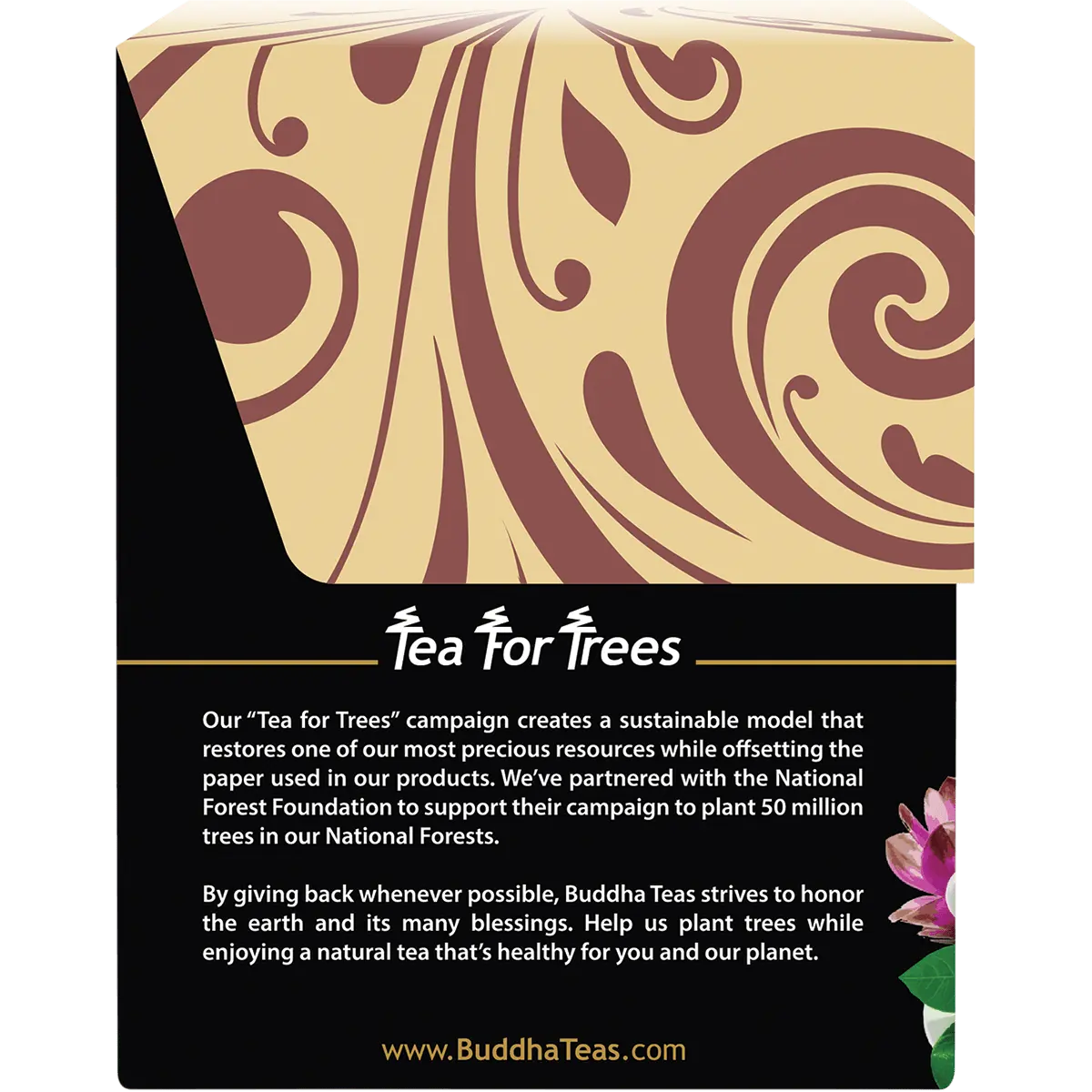 Buddha Teas Organic Herbal Turmeric Ginger Tea 18 Sachets — side pack image (UHP)