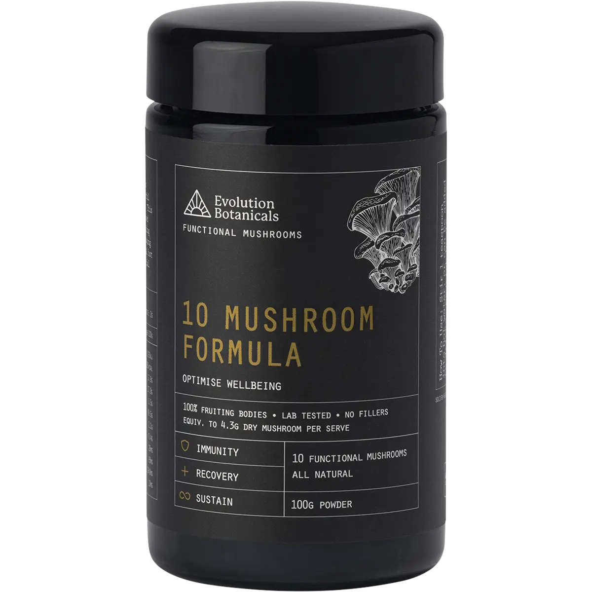 Evolution Botanicals 10 Mushroom Formula Optimise Wellbeing
