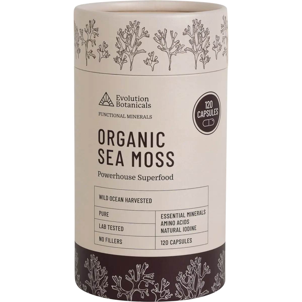 Evolution Botanicals Organic Sea Moss 120 Caps