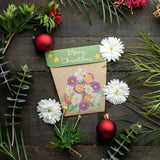 Sow 'n Sow Gift of Seeds Christmas Native Daisies