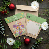 Sow 'n Sow Gift of Seeds Christmas Native Daisies