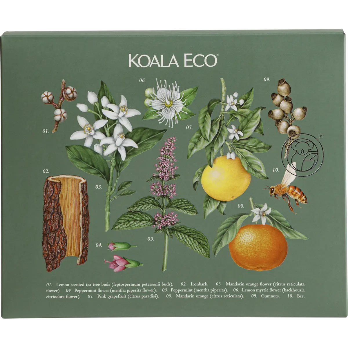 Koala Eco Gift Pack - Hand Wash, Laundry Wash & Dish Soap 3pk — official UHP product image 2