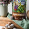 Power Super Foods Cacao Powder Origin — cacao balls lifestyle image