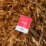 Sodii Salty Raspberry electrolyte sachet outdoors