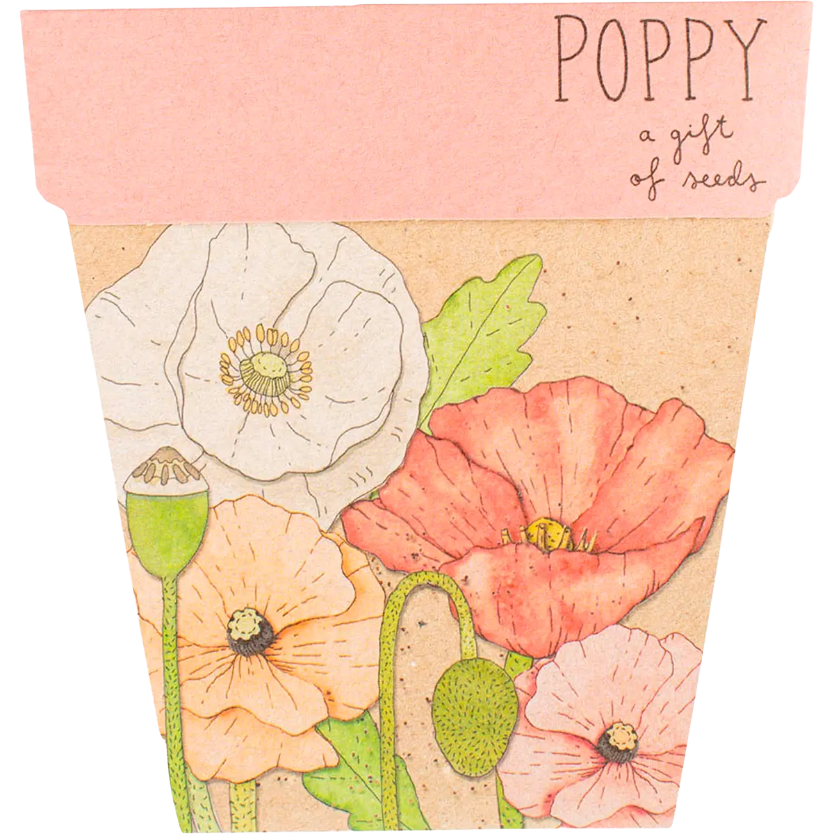 Sow 'n Sow Gift Of Seeds Florals — official UHP product image 3