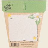 Sow 'n Sow Gift of Seeds Christmas Native Daisies