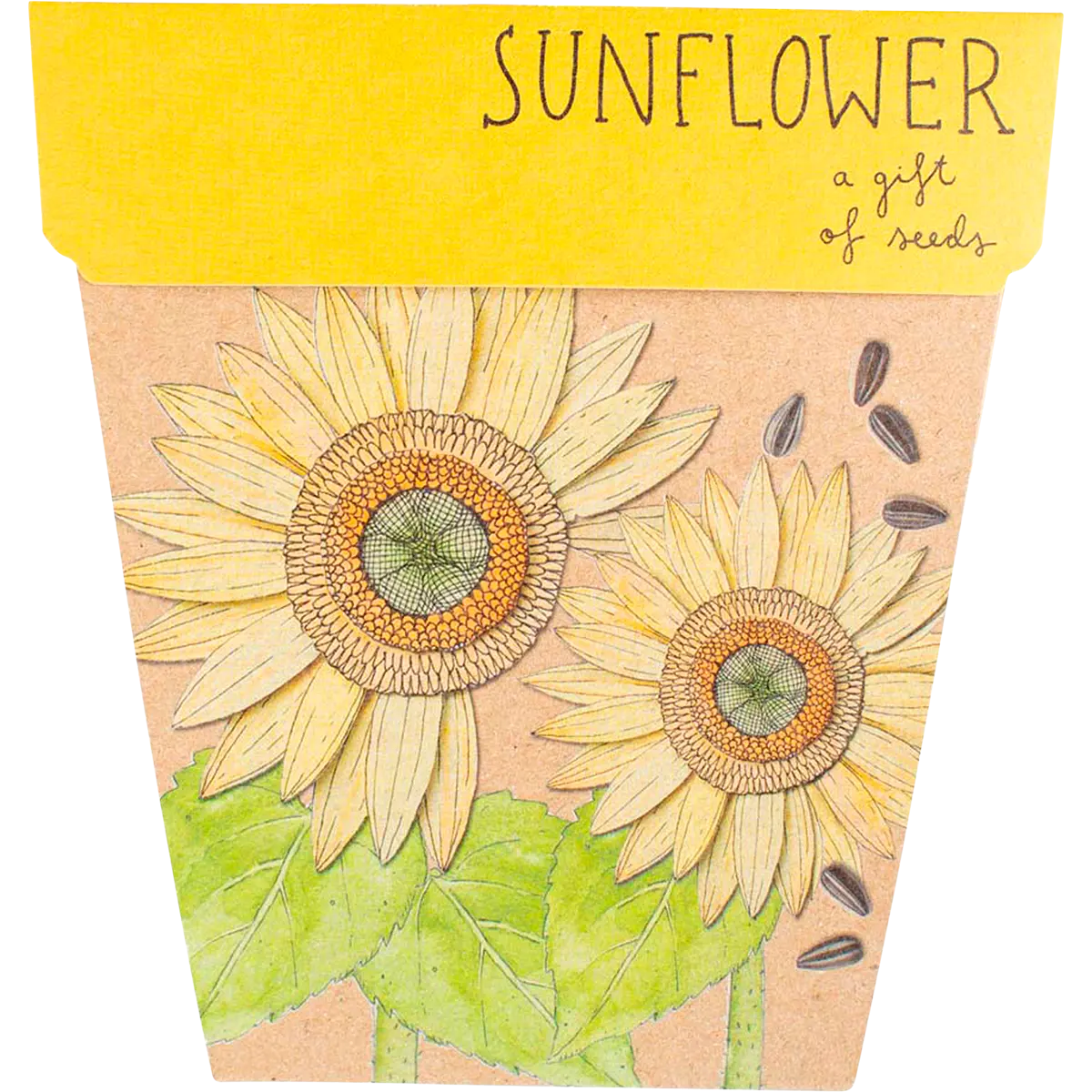 Sow 'n Sow Gift Of Seeds Florals — front pack image (UHP)