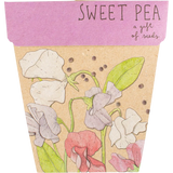 Sow 'n Sow Gift Of Seeds Florals — official UHP product image 2