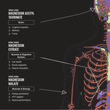 Switch Nutrition Multi-Mag Perform Watermelon 150g