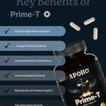 {{Product title}} by {{Product vendor}}