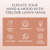 Teelixir Lions Mane Mushroom