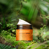 Antipodes Supernatural SPF50+ Ceramide Silk Sunscreen 60ml official product image