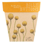Billy Buttons