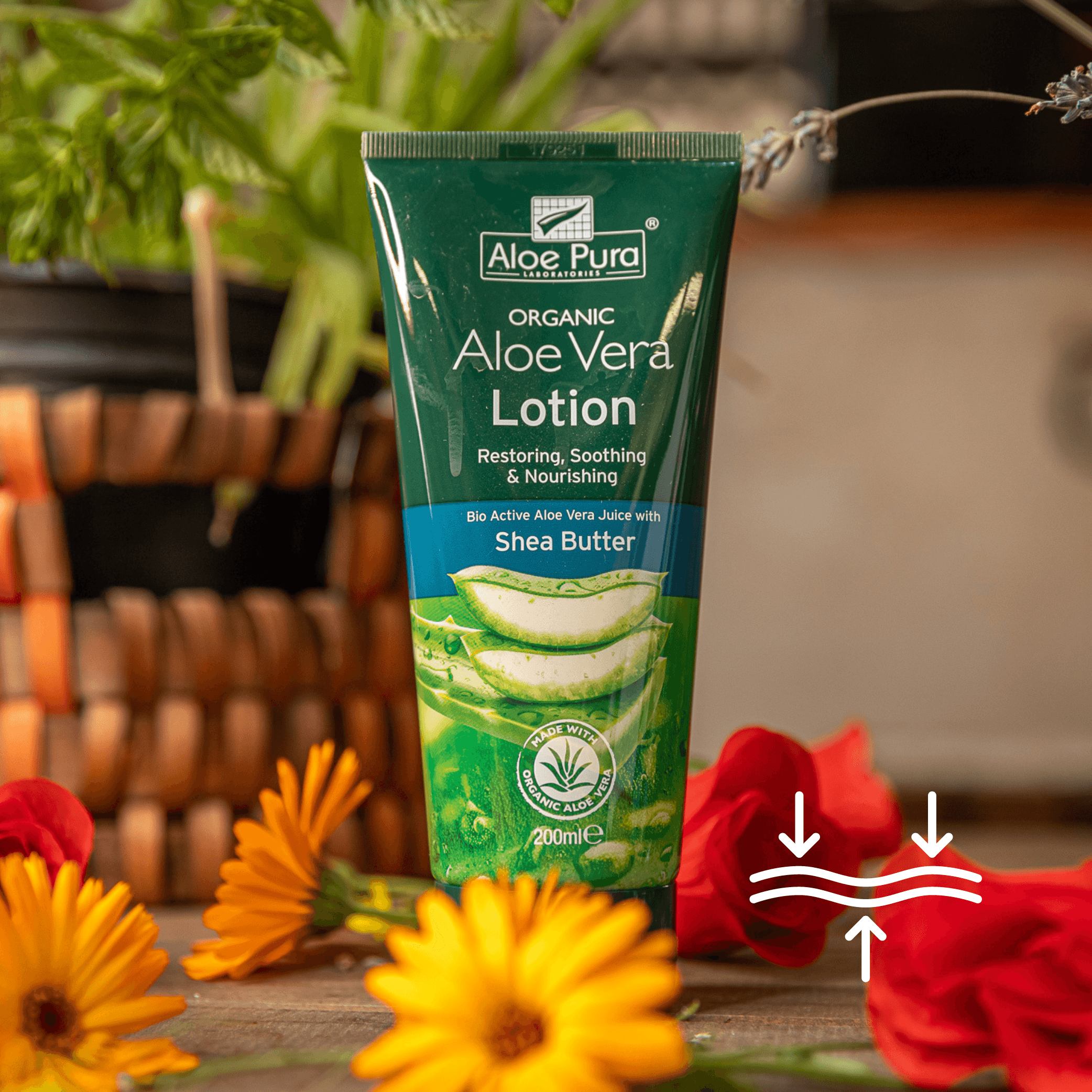 Aloe Pura Aloe Vera Lotion with Shea Butter 200ml