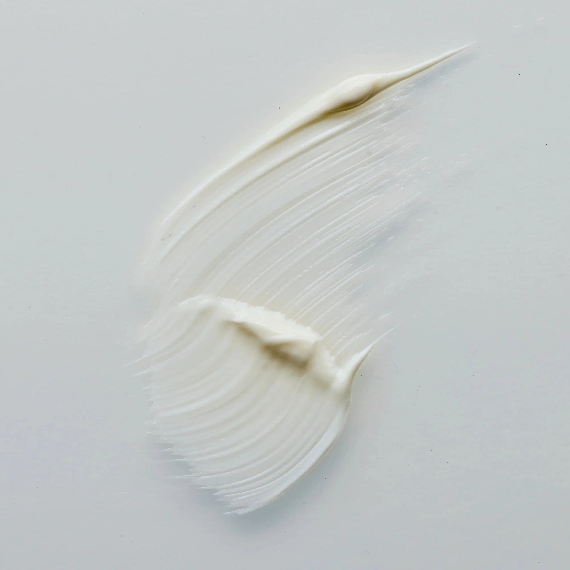 Antipodes Skin Care Antipodes Rejoice Light Facial Day Cream