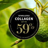 Antipodes Skin Care Antipodes Rejoice Light Facial Day Cream