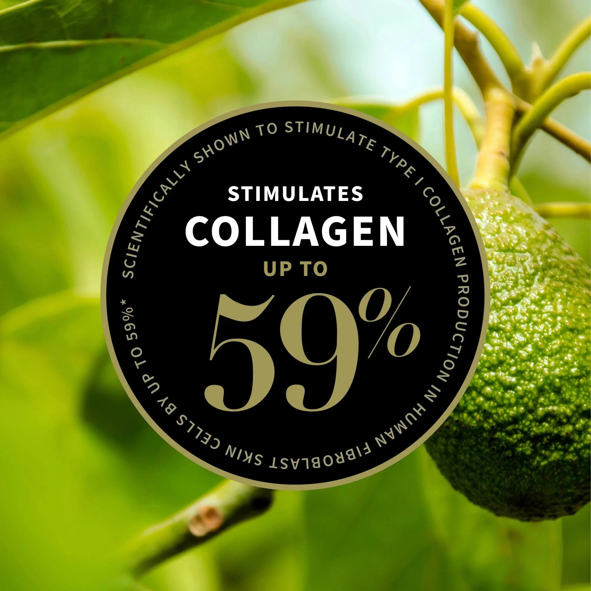 Antipodes Skin Care Antipodes Rejoice Light Facial Day Cream