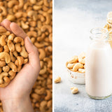 2DIE4 activated cashews serving lifestyle