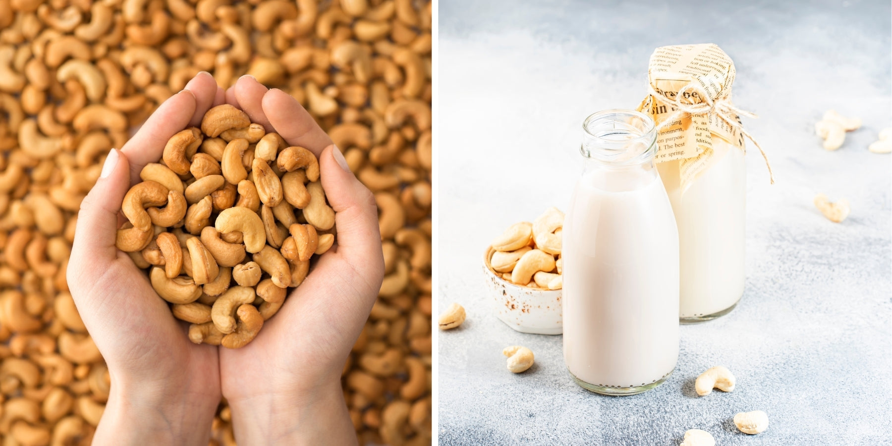 2DIE4 activated cashews serving lifestyle